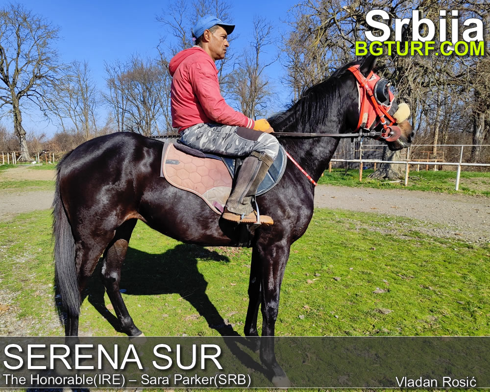 bgturf trening srbija