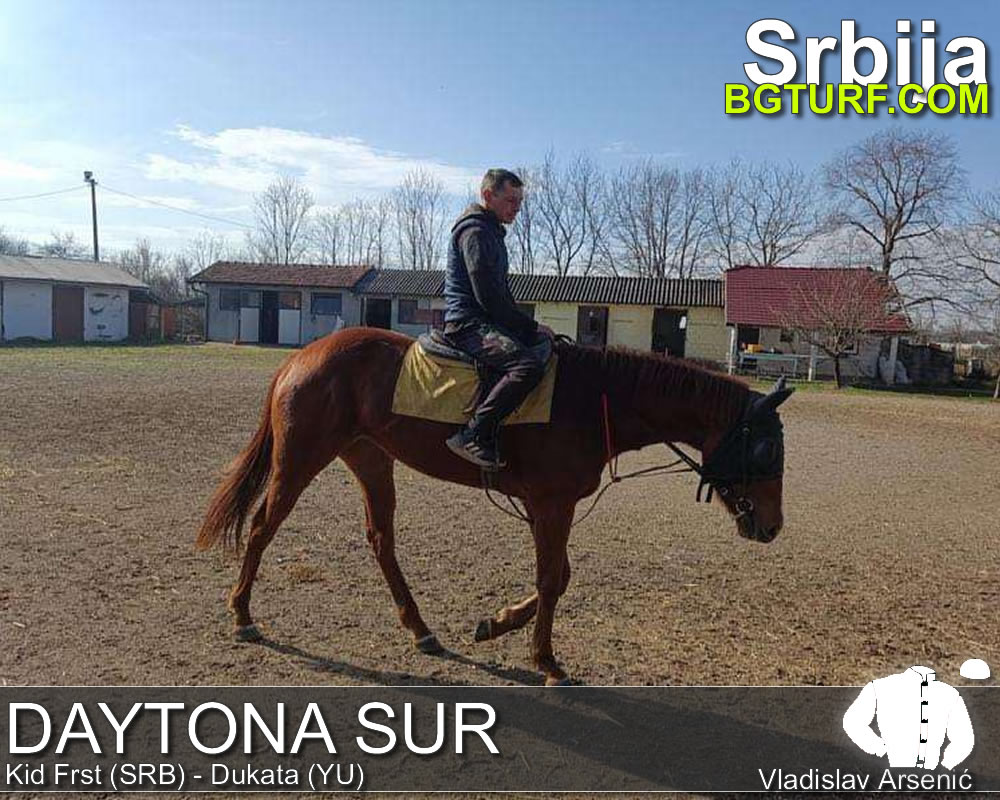 bgturf trening srbija