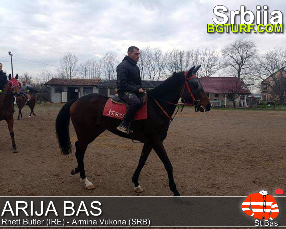 bgturf trening srbija
