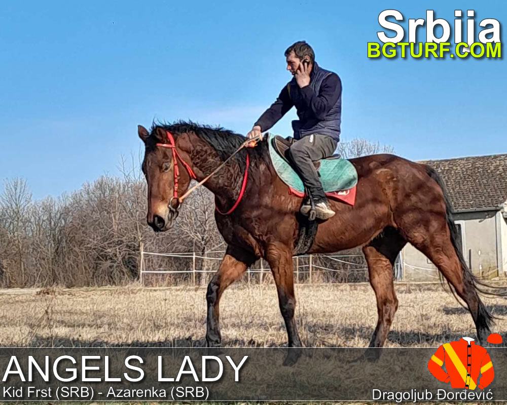 bgturf trening srbija