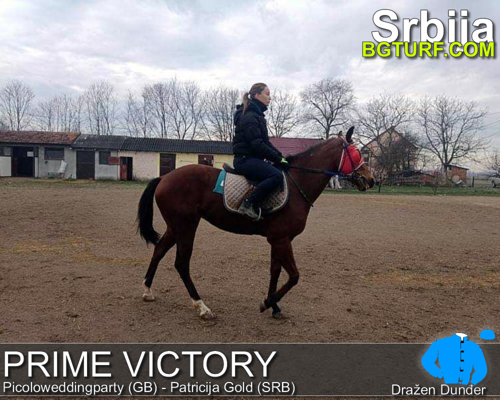 bgturf trening srbija