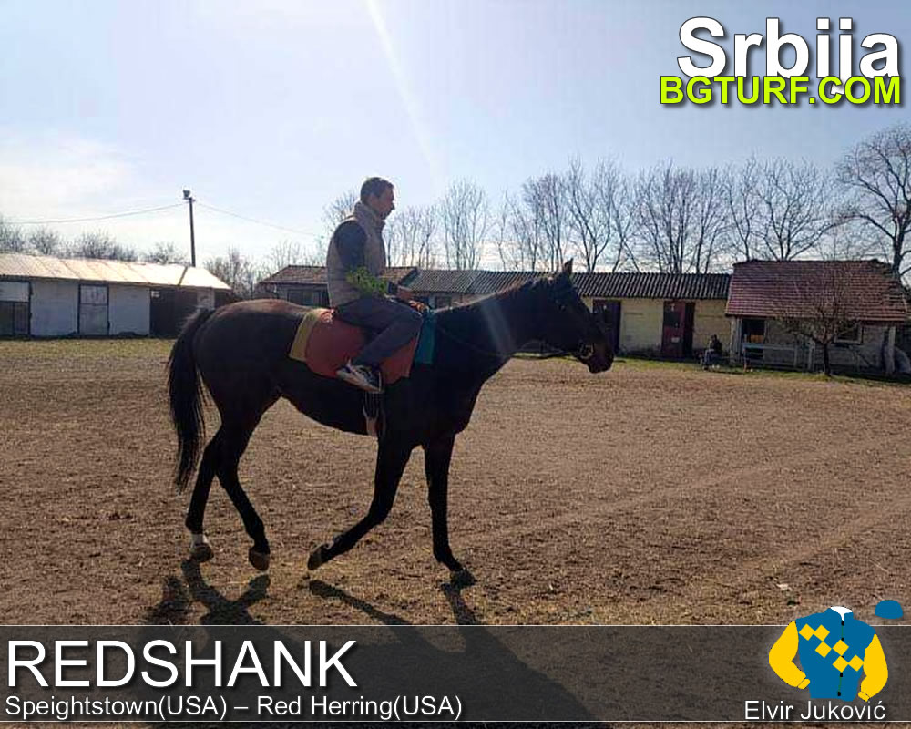 bgturf trening srbija