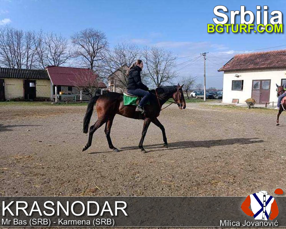 bgturf trening srbija
