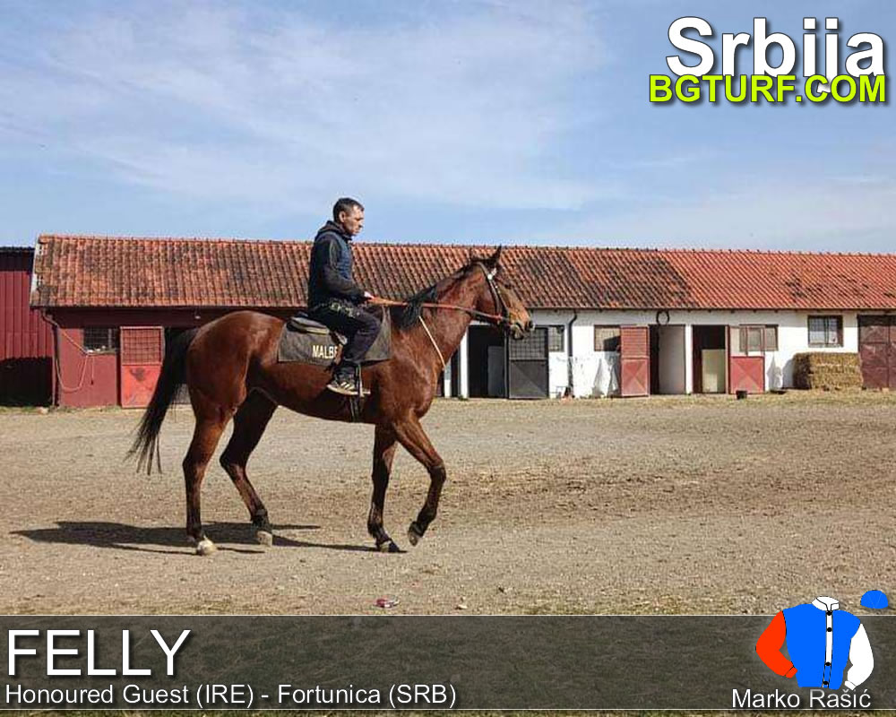 bgturf trening srbija