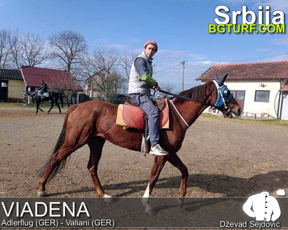 bgturf trening srbija