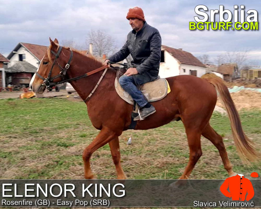 bgturf trening srbija
