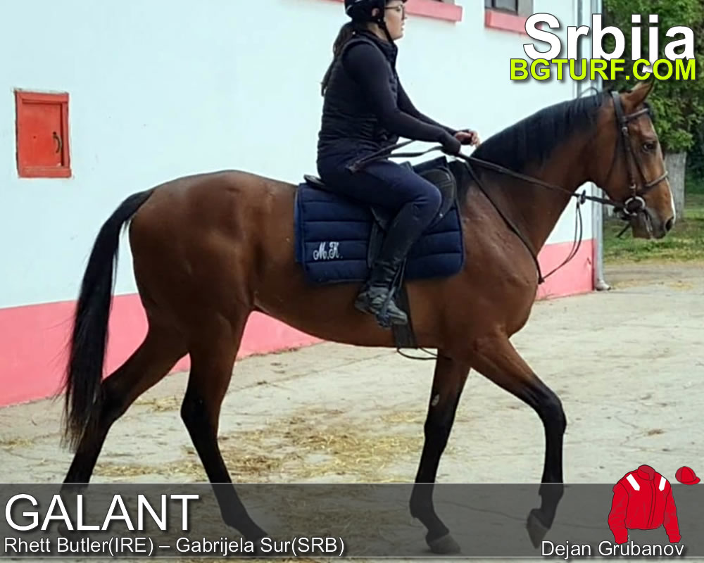 bgturf trening srbija