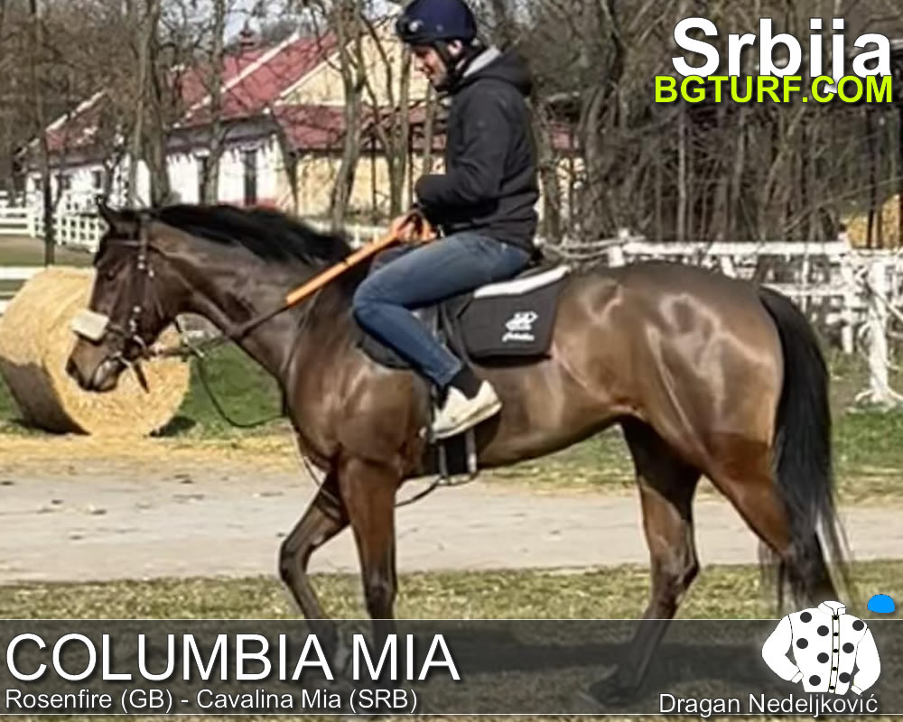 bgturf trening srbija