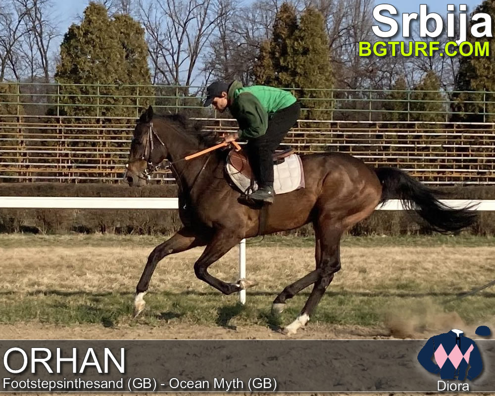 bgturf trening srbija