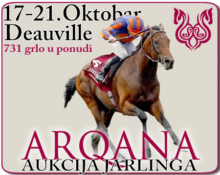 bgturf arqana