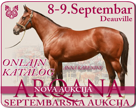 bgturf arqana