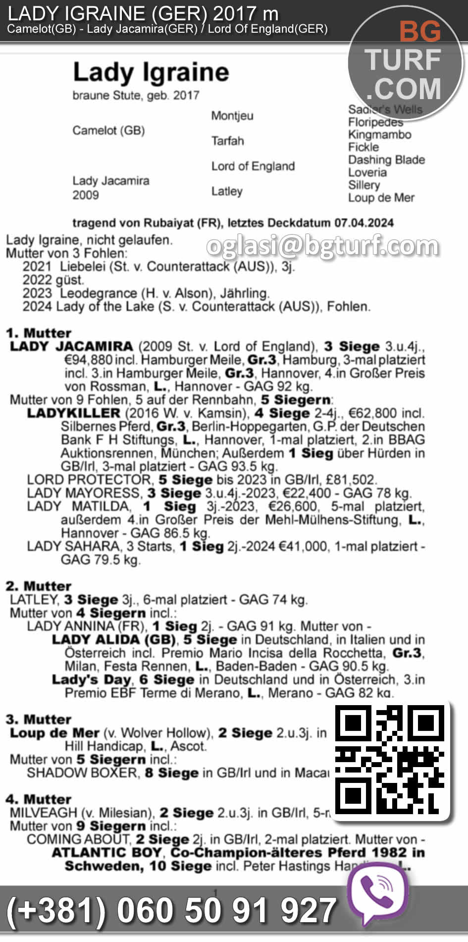 bgturf horses for sale